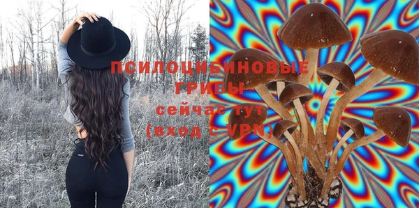 бошки Зерноград